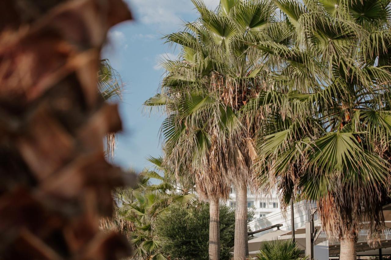 Klajdi Resort & Spa โกเลม ภายนอก รูปภาพ Palm trees in the city